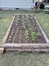 build a raised garden bed from logs