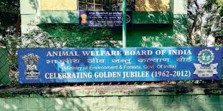Board's mission is to ensure that animal welfare laws in the country are diligently. Centre To Take Over Animal Welfare Board Of India Office The New Indian Express