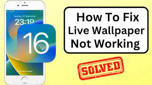 fix live wallpaper not working ios 16
