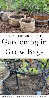 Gardening In Grow Bags 5 Tips For
