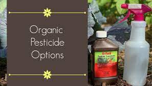 7 organic pesticides and their uses