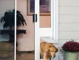 Doggy Door Bunnings Alternative Patio