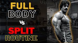 split vs full body routine what s