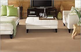 soft durable carpet hopkins carpet