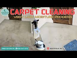 revolutionizing carpet cleaning very