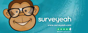 online survey for money in South Africa 