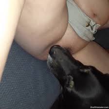 Dog licks woman's pussy and ass in a sloppy mode