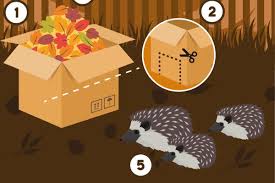 How to build a hedgehog house using household items