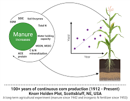 manure improves soil health and
