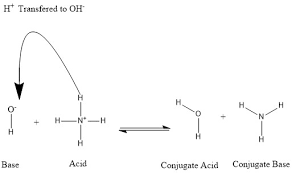 Conjugate Acid Wikipedia