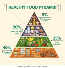 Healthy Food Pyramid Infographic Pictures With