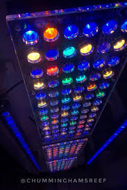 Best Led Lights For Reef Tank 2018 2019 Review Orphek