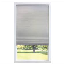Blinds Amp Window Shades Vertical