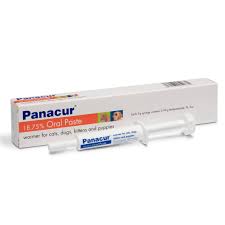 Panacur Oral Paste Wormer 5g Syringe 4 91