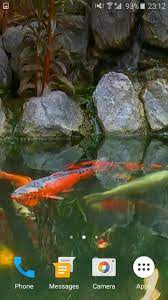 Koi Fish Video Wallpaper 3D for Android ...