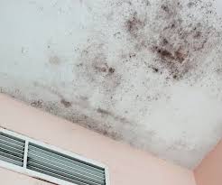 how to permanently remove mold from