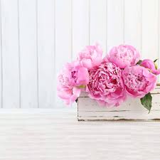 Flowers in a jar melbourne. Flower Delivery Melbourne Cheap Flower Delivery Melbourne The Big Bunch