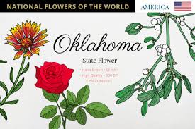 Oklahoma State Flower Graphic By