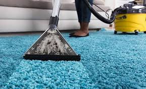 best carpet protection buffalo ny