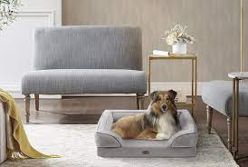 Pet Friendly Living Room Furniture