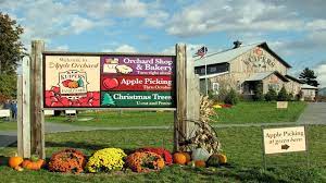 Kuipers family farm and orchard opens september 15th. Apple Picking Season At Kuipers Family Farm Enjoy Illinois