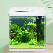whole exquisite fish tank office