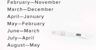 What Month Will My Baby Be Born Due Date Graphic