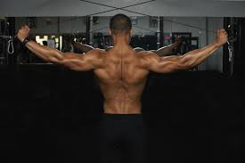 8 back workouts for building m