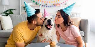 Descubre cómo celebrar el cumpleaños de tu perro | Fanáticos de las mascotas