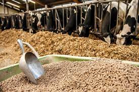 usda as livestock producers expand
