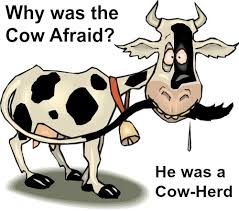 If you've been searching for the best one liners then we have a treat for you! Funny Cow Jokes