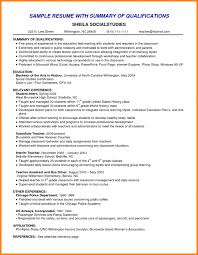 Qualification Resume Professional Summary Resume Example
