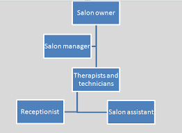Organizational Structure For Hair Salons Homework Example