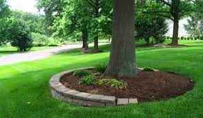 Landscaping Around Trees Practical