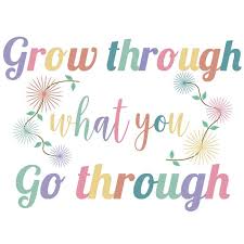 Grow Through What You Go Through – Positive Thinking Mental Health Quotes –  VinaFrog