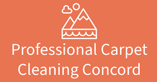 professional carpet cleaning concord