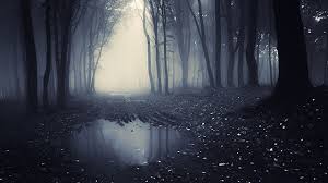 dark forest desktop background