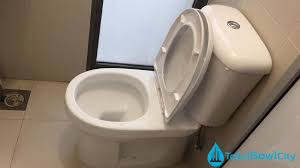 Baron W203a Toilet Bowl Replacement In