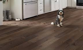 best flooring for dogs