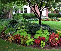 Colorful Shade Garden Small Front