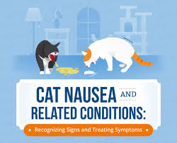 cat nausea natural treatments canna pet