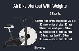 best air bike workouts garage gym reviews