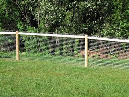 Fence Ideas For Dogs In Diy