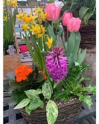 Spring Bulbs Basket In Rochester Ny