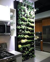 Living Wall Of Herbs Inside The Kitchen