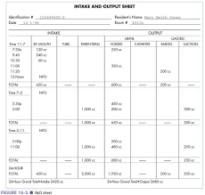 Nursing Intake And Output Examples Figure 16 5 Intake And