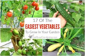 17 easy vegetables to grow for beginner