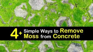 4 Simple Ways To Remove Moss From Concrete