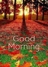 A collection of good morning pictures, images, comments for facebook, whatsapp, instagram and more. Pin On Good Morning Good Night