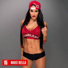 Bella buster (sitout facebuster), rack attack (argentine backbreaker), rack attack 2.0 (tko). Pin On The Bella Twins